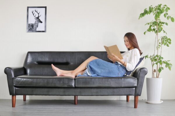 Sofa đôi 1012-2P